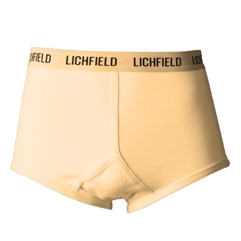 The Y Brief